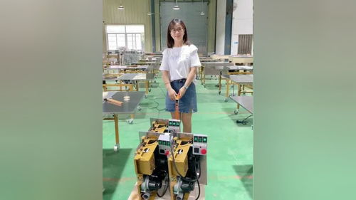 無塵子母鋸 推臺(tái)鋸 木工臺(tái)鋸 封邊機(jī) 無刷電機(jī) 木工鋸臺(tái) 折疊推臺(tái)鋸 質(zhì)量杠杠的好 總有一款適合你