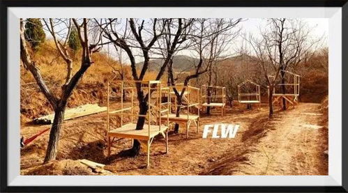 2021年青青部落國(guó)慶戶外營(yíng) | 探秘木工鋸的無限可能