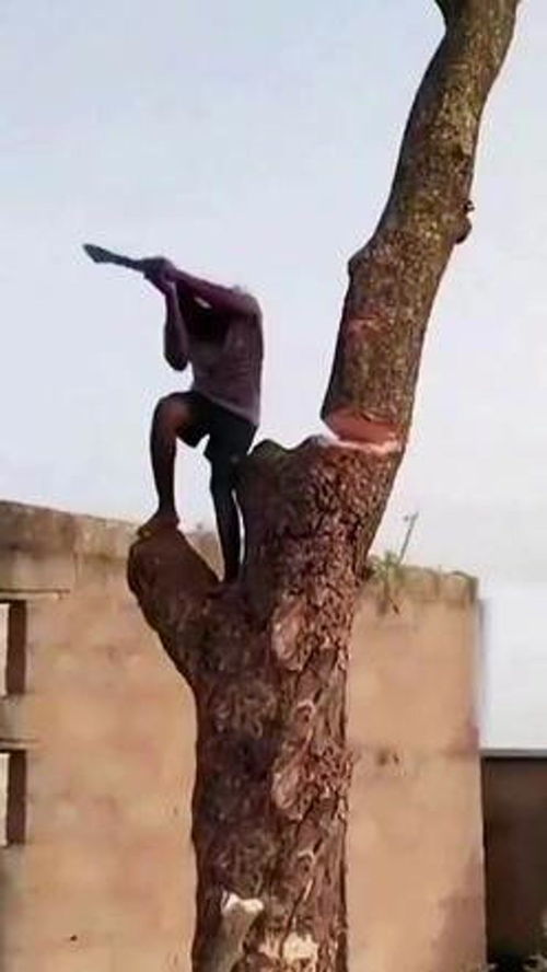 迷你木工小手鋸 高性能實(shí)用工具的完美詮釋