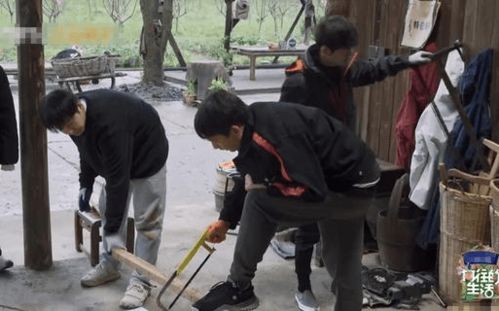 《向往5》黃磊智商下線遭吐槽 彈幕直呼其木工鋸常識(shí)缺失